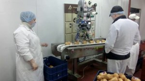 Нанесение этикетки на колбасные изделия АЭК60