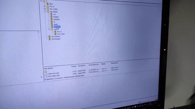 спам бот который создаёт папки fox-c и тонны файлов смотреть онлайн