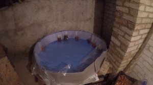 УЗВ (бассейн) для австралийских раков. Создание УЗВ.