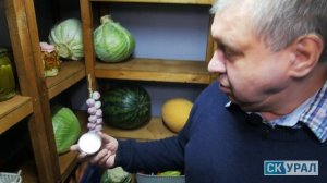 Отзыв о погребе Уралец. Надежное хранилище урожая!