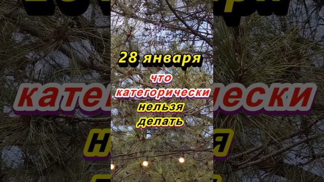 28 января народный праздник День колдунов. Что категорически нельзя делать. Народные приметы