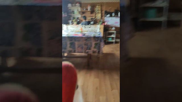 мой первый день как будем кушать смотреть онлайн