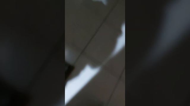 Al Khaleej centre смотреть онлайн