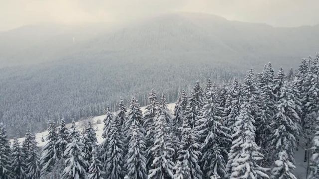 Невероятные пейзажи. Снегопад. Волшебная Мелодия. Прекрасная музыка для Души....Рождественская Ночь