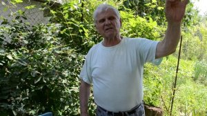 КАК ГАРАНТИРОВАНО УЛУЧШИТЬ ОПЫЛЕНИЕ ВИНОГРАДА