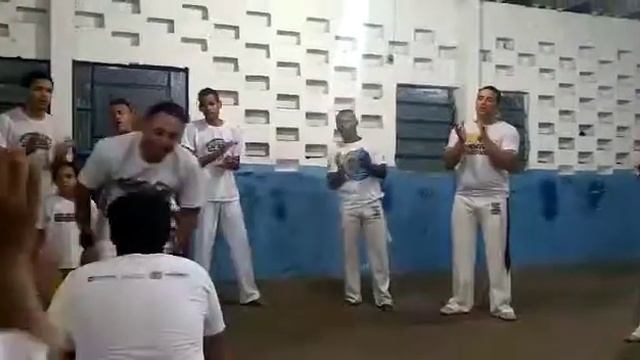 grupo Ubatã capoeira Mestre Nestor roda do grupo origem da ginga смотреть онлайн
