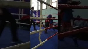 Крижановский Анатолий  Открытие Muay Thai 8-11, 02,2018 Одесса