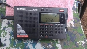 Сравнение приёма на радиоприёмниках Tecsun PL-330 (DSP) и Tecsun PL-600 (супергетеродин)