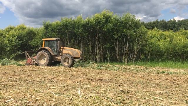 Расчистка территорий от ДКР, трактор Valtra T191H с мульчером Seppi Midiforst DT200