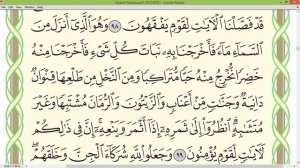 Шейх Айман Сувейд сура Аль Анам стр140