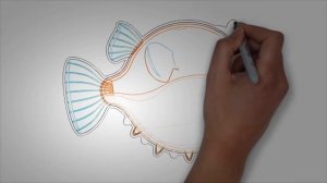 Морские обитатели РЫБА ШАР. Как нарисовать морских обитателей
