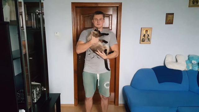 ПОДАВИЛСЯ ДОМАШНИЙ ЛЮБИМЕЦ ЧТО ДЕЛАТЬ? ПЕРВАЯ МЕДИЦИНСКАЯ ПОМОЩЬ