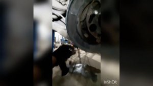 задний ступичный подшипник honda stream