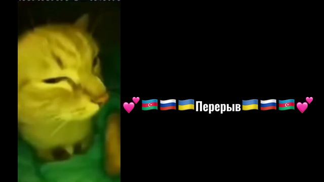 Реакция ЛВПГ на тт :3))..(1/2) смотреть онлайн