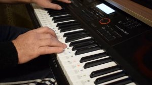 Широка река- (кавер) на синтезаторе CASIO CT-X3000