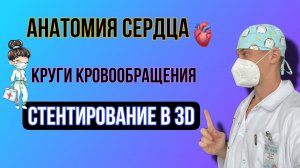 Анатомия сердца / круги кровообращения/ стентирование артерий / инфаркт