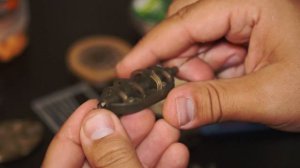 Флэт фидер монтаж | как связать оснастку для flat feeder? Оснастка флэт фидер