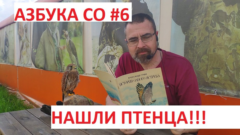 Нашли птенца