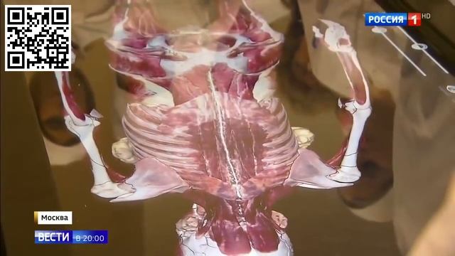 Университету имени Сеченова, старейшему медвузу страны, исполнилось 260 лет. смотреть онлайн