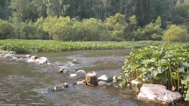 FujiFilm FinePix AX550 Video Test HD 720p