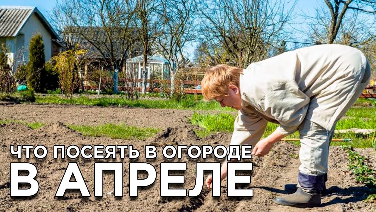 Что посеять и посадить в огороде в апреле смотреть онлайн