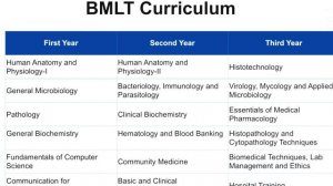 BMLT | MLT | BSc Medical Laboratory Technology | in Malayalam | Diploma in MLT | Lab technician job