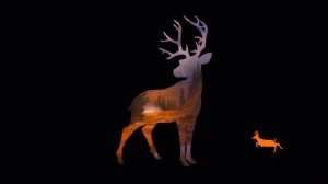 Deer Hunter 2018 | iOS | Обзор - Охота, охота с собакой, рыбалка и подводная рыбалка! - #1