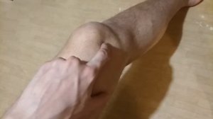 ШКЯ - Черви КАВЕР!