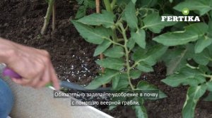 Комплексное удобрение Универсал-2, Фертика Вена - Лето.
