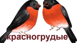 Словообразование для дошкольников: Игра "Глупый слонёнок"