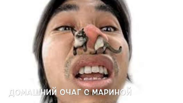 АЛЛЕРГИЯ ИЛИ ПСЕВДОАЛЛЕРГИЯ УЗНАЙ ЧТО У ТЕБЯ