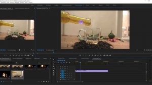 Уроки по Premiere Pro. Делаем эффект оживших фотографий