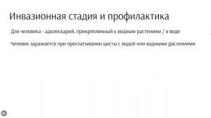 Печеночный сосальщик. Строение и жизненный цикл печеночного сосальщика. Примеры решения заданий
