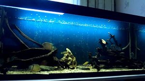 аквариум 450 литров