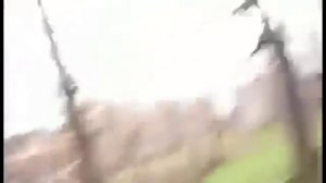 Что это у тебя? А я думала сова