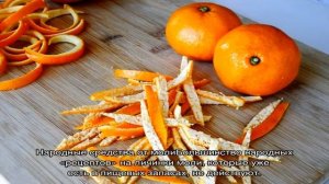 Что делать, если в грецких орехах моль