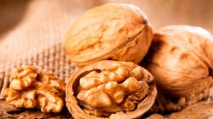 Выращивание Грецкого ореха как бизнес идея | Ореховый сад