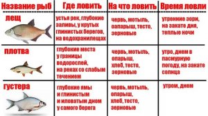 Календарь Рыбака по видам рыб на Весну Какая рыба клюет Где искать На что ловить Прогноз клева