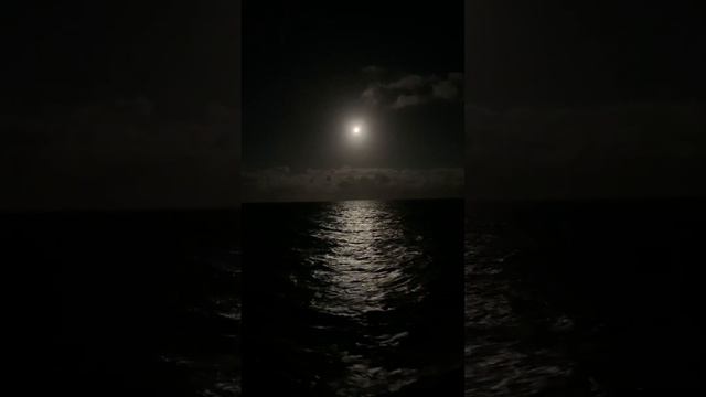 Night sky | Night sky photography with phone || #nature #shortvideo