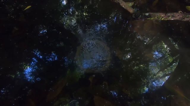 Primitive Technology Pot Made of Wood Ash - New Clay Alternative