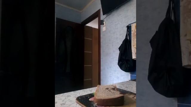 Рыжих Вероника. как правильно приготовить бутерброд смотреть онлайн