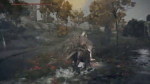 Выносливость ELDEN RING