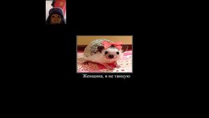 мемы из тик тока