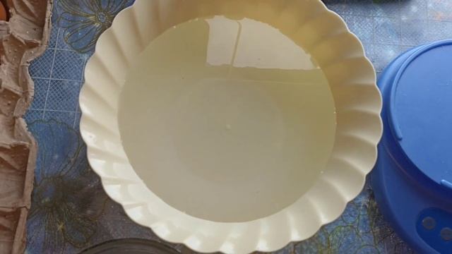 ШОК!!! цена куриного яйца по цене Спичного коробка смотреть онлайн