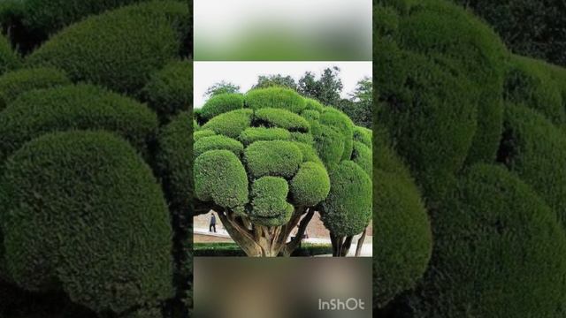 Уникальность и красота нашего￼ мира (чудеса природы) смотреть онлайн