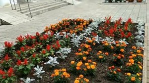 Россия. Санаторий Кашин Тверская область 2018 г. Кашинская минеральная вода.