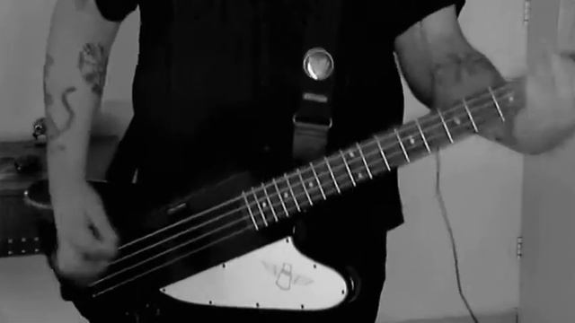 Marilyn Manson - The Nobodies | Bass Cover смотреть онлайн