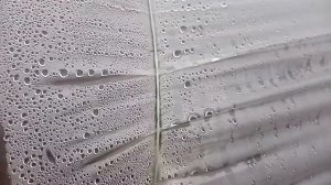 Обработка клубники перед заморозками