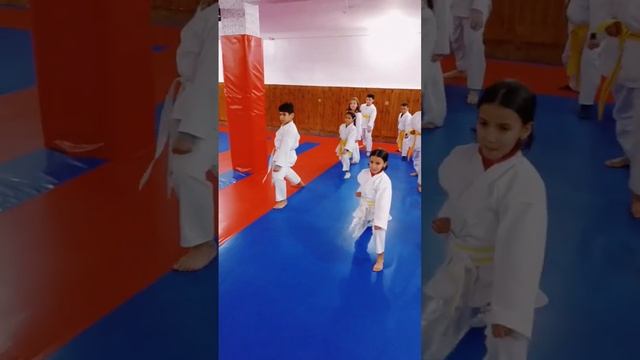 Learning is a lifelong process- ?ZAITOUNA KARATE CLUB #karate #shotokan #kata #heianshodan #morocco