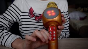 обзор на микрафон wster ws1816